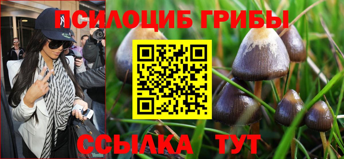 Псилоцибиновые грибы мицелий  Псилоцибиновые грибы мухоморы  как найти закладки  Вход с VPN  Южно-Сахалинск 